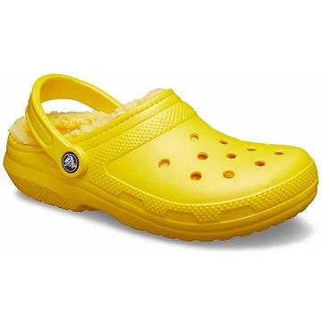 Crocs Classic Bélelt Clog Cipők Férfi Arany | HU 0675NWYB